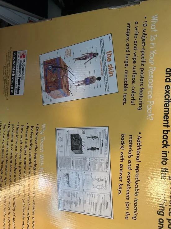 Human Anatomy Posters Set - Yellow - - Picture 10 of 13